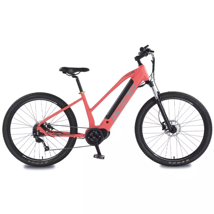 All Electric Bikes