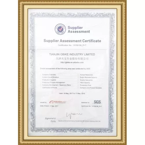 Alibaba Certified Supplier